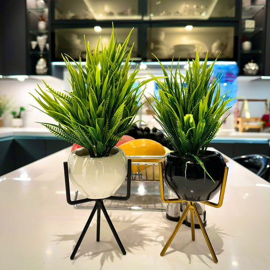 Luxury Ceramic Planters with Metal Stands (10x5 inches each)